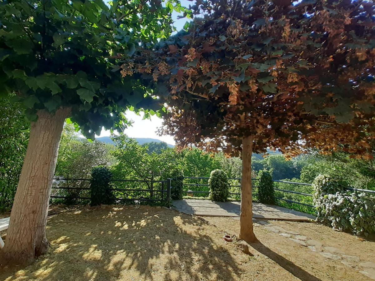 Villa Le Palmine Palazzone Eksteriør bilde